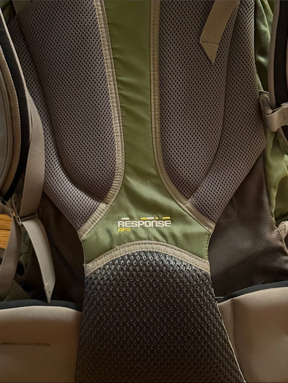 Gregory Baltoro 70L Backpack- Response AFS - Green